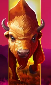 Big Wild Buffalo